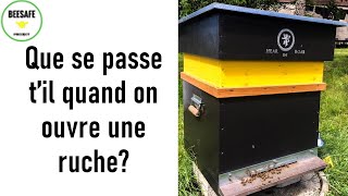 Que se passe t'il quand on ouvre une ruche ?