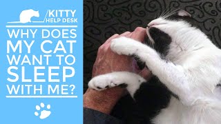 Why Does My Cat Want to Sleep With Me?