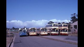 Australian Bus Fellowe's Bus Service Swansea Leyland Atlanteans and Leopards