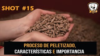 SHOT #15: Proceso de peletizado, características e importancia para aves de competencia 🐓