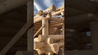 #wood заказать по тел. 8 923 320 22 26 - традиционная баня из осины крупного диаметра. #woodworking