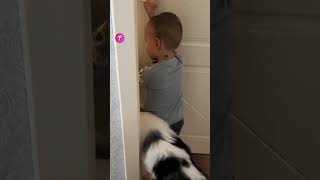 Smart Pup Helps Baby Escape! #shorts