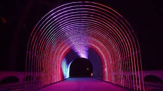 Music Tunnel at the 2020 Cleveland Lantern Festival