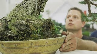 2018 U.S. Bonsai National Exhibition