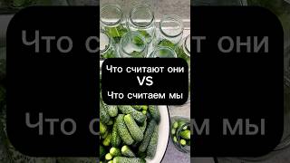 ЧТО ТАМ СЧИТАЮТ ОНИ 👀 🥒❓А мы считаем Мистери стики😎🤘🏻чтобы подарить их Вам 🥰