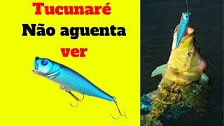 🐟Isca para tucunare,isca para pegar tucunaré SUPER EFICIENTE(TUCUNARE NÃO AGUENTA VER)