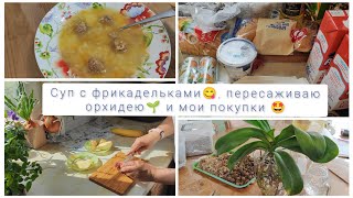 Суп с фрикадельками😋, пересаживаю орхидею🌱 и мои покупки 🤩