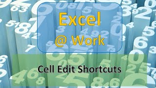 Cell Edit Shortcuts | Excel Tips & Tricks | Excel @ Work | The S.I.L.K Route