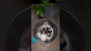 BlackForest IcecreamShake|#blackforest|#icecream|shake|#SparklewithShorts|#fillthetummy|#ytshorts