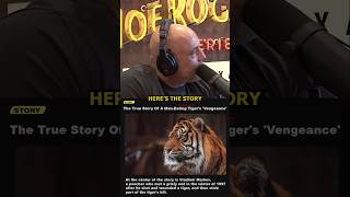 Rogan: Tiger Systematically Hunted a Man for Revenge