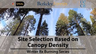 Site Selection Based on Canopy Density