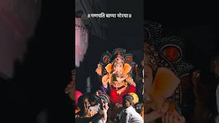 #ganpatibappamorya #ganeshchaturthi #ganeshutsav #shorts #ytshorts #trending #viral #explorepage