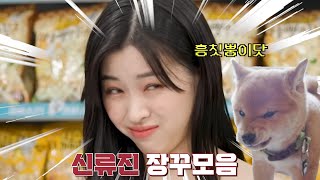 [ITZY]신류진 장꾸 모음