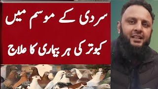 Bimar kabootar ka ilaj | Bimar Kabootar ki dawai | Pigeon Treatment | Imran bakarmandi | #kabutartv