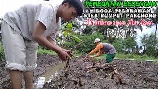 proses Pembuatan Bedengan Hingga Penanaman Stek rumput Di lahan Sewa Ibu Novi part 1