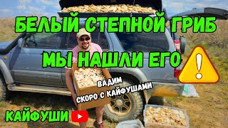 Весенний выезд за грибами.