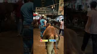 ভাই কত নিলো? হাজারীবাগ গরুর হাট | #reels #shorts #viralvideo #trending #video #subscribe #youtube