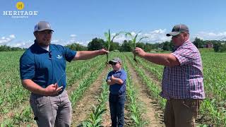 Bonus Bushels  with OHBinBusters: Corn Plot Update - 6/24/20