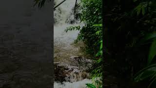 [ Trending ] #nature #monsoon #rain #viralvideo #darjeeling #hills #travel #shots