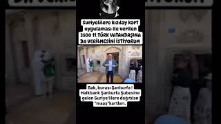 kızılay suriyelilere din kardeşlerimize aylık 3500 tl burs veriyor. daha çok çocuk yapsınlar.