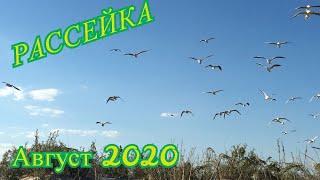 Курорт Рассейка - конец августа 2020 окончание сезона!