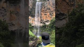 Just Simple Things | Purling Brook Falls | Springbrook National Park | Australia | Queensland