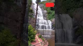 Silver Cascade Falls | Kodaikanal | Water Falls #kodaikanal #waterfalls #bisnoofiview #shorts