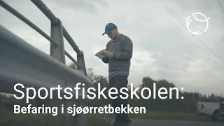 Sjøørretriket | Befaring i sjøørretbekken