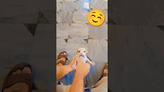 Cute little puppy very Hungary#shorts #youtubeshorts #shorts