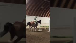 Gotta work on my landing😭-show Saturday 🫣 #equestrianrider