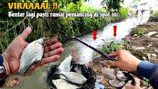 SEPERTI MIMPI DISIANG BOLONG ‼️DAPET SPOT BARU YANG ISINYA SUNGGUH DILUAR DUGAAN || MANCING BADER