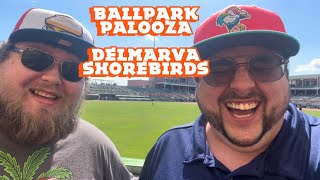 Ballpark Palooza episode 7: Hot day at the Perdue stadium home of the Delmarva Shorebirds