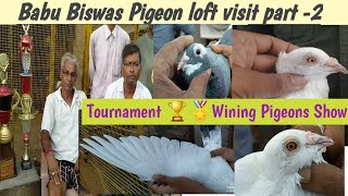 Babu Biswas  pigeon Loft Visit part -2|| Tournament  Wining Pigeons.