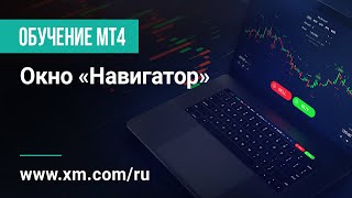 XM.COM - Обучение по MT4 - Окно «Навигатор»