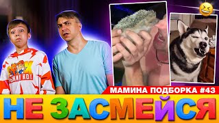 ЁЖИК УБИЙЦА и КРИВОЙ ХАСКИ! Не умри от смеха челлендж! // Мамина подборка #43