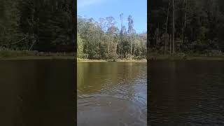 Kodaikanal boating #kodaikanal #kodaikanaltouristplaces #trending #shorts #youtube #a #manjummelboys