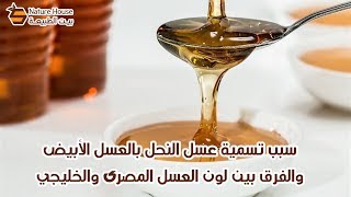 سبب تسمية عسل النحل بالعسل الأبيض والفرق بين لون العسل المصرى والخليجي