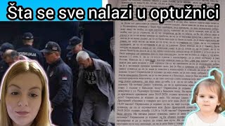 Uvid u optužnicu u slučaju Danke Ilić‼️