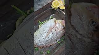 Snapper Cooked Whole