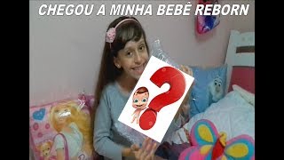 Chegou a Minha Bebê Reborn