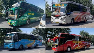 BANYAK CALO ❓ HATI - HATI Kalau Di Sini || Bus - Bus Pada Keluar Lewat Sini