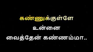 Kannukulle Unnai Vaithen Karaoke With Lyrics