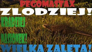 PEGOMASTAX! Ark Survival Evolved - ZLODZIEJ KTORY JEDNAK DO CZEGOS SIE PRZYDAJE!