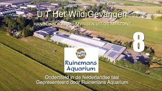 Uit het wild gevangen, deel 8/10