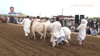 Akhara krah in pharati AJK 2018