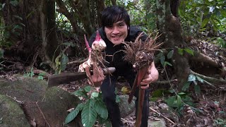 Starchy tubers - 6 months of survival in the wild - episode 16