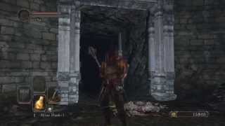 Dark Souls 2: Skeleton Lords (Soul Level 1)