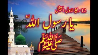 12 rabi ul awal new whatsapp status 2017,2018 top eid milad un Nabi naat status Alfaisal art new