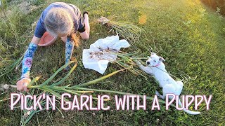 Pick'n Garlic with  Puppy