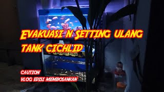 Tank Aquarium Ikan Cichlid gue Pecah Cuy ......